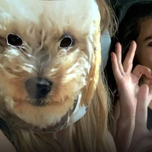 Эмодзи WIKTORIA