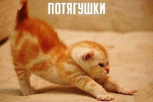 Эмодзи Доброе утро