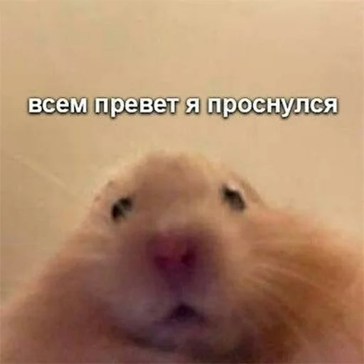 Эмодзи Доброе утро