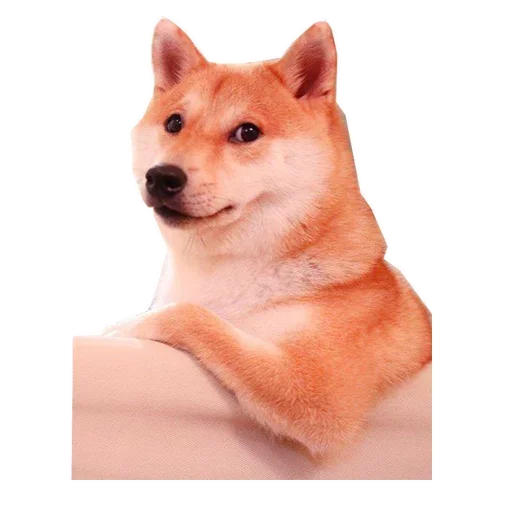 Эмодзи Doge