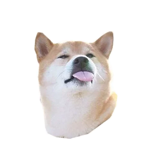 Эмодзи Doge