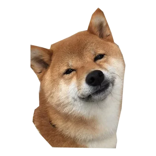 Эмодзи Doge