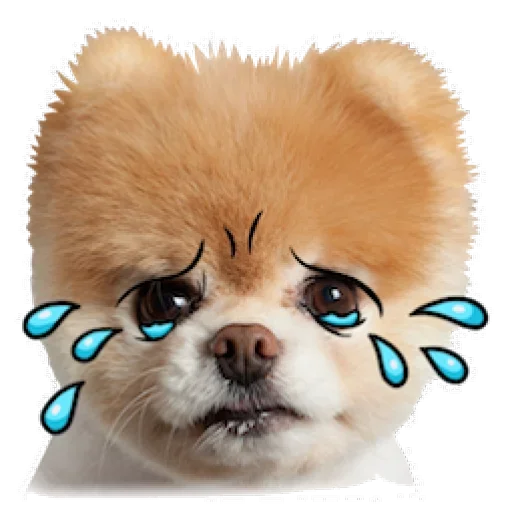 Эмодзи Dogs Friends