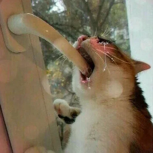 Эмодзи dolbostiki