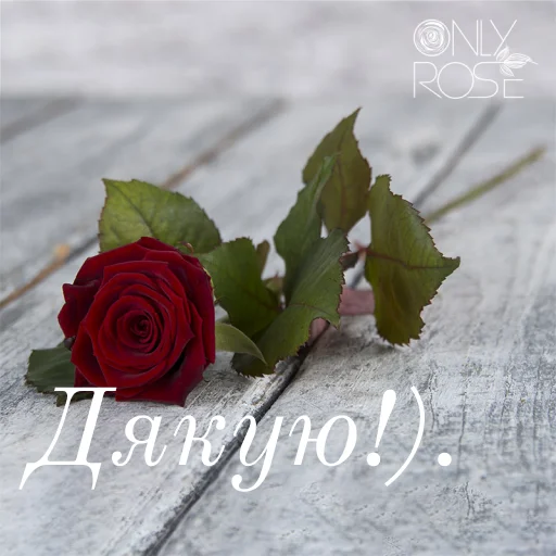 Эмодзи щиро кохаю!)