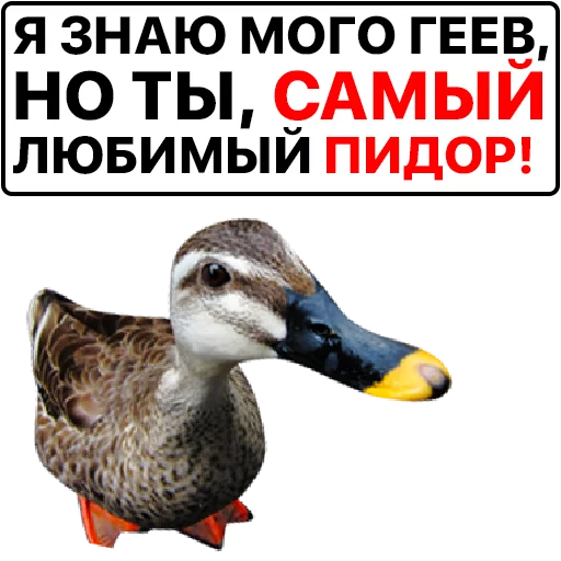 Эмодзи Злая утка