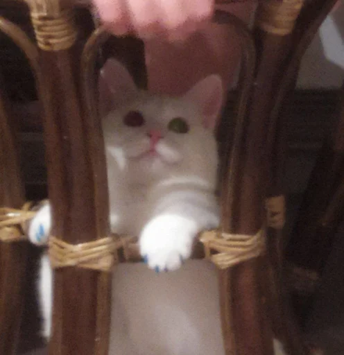 Эмодзи Еще один пак с котиками