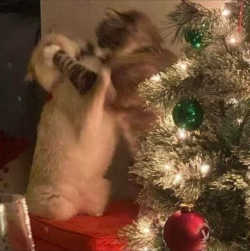 Эмодзи новогодние коты