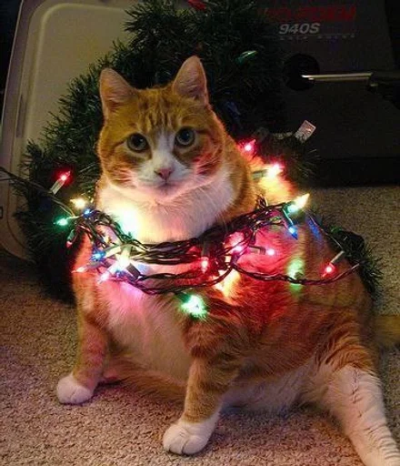 Эмодзи новогодние коты