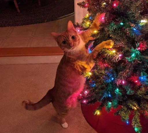 Эмодзи новогодние коты