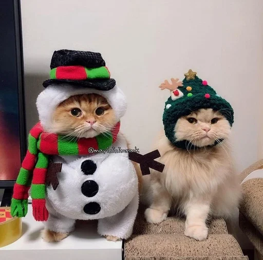 Эмодзи новогодние коты