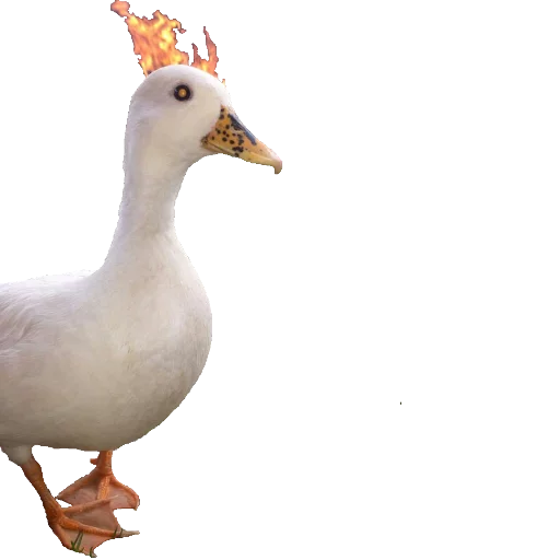 Эмодзи Гуси