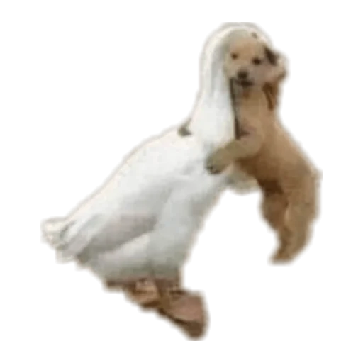 Эмодзи Гуси