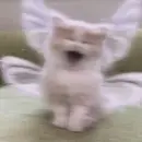 Эмодзи love