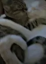 Эмодзи love