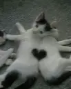 Эмодзи love