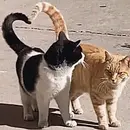 Эмодзи love