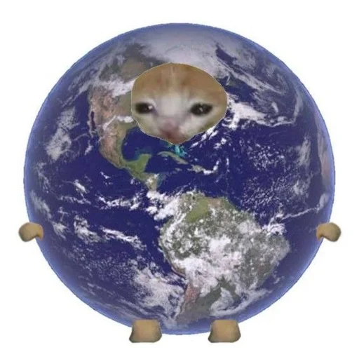 Эмодзи Cats memes