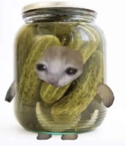 Эмодзи Cats memes