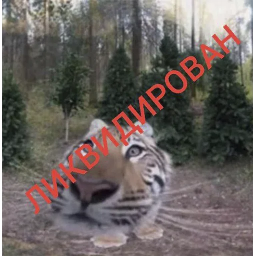 Эмодзи Тигр