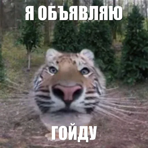Эмодзи Тигр