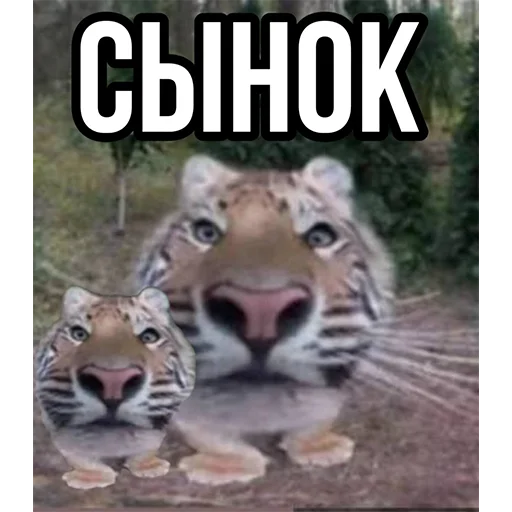 Эмодзи Тигр