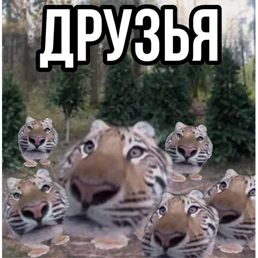 Эмодзи Тигр