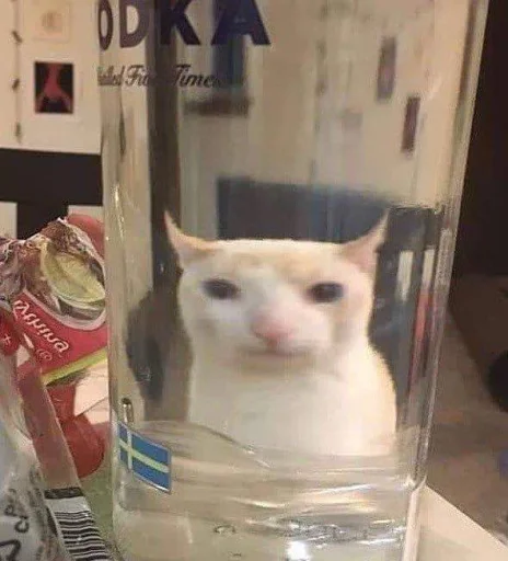Эмодзи Cats memes