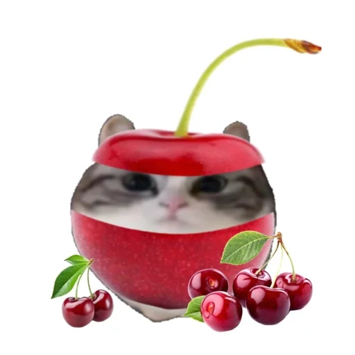 Эмодзи Котики