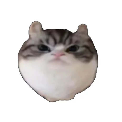 Эмодзи Котики