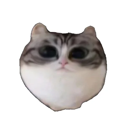 Эмодзи Котики