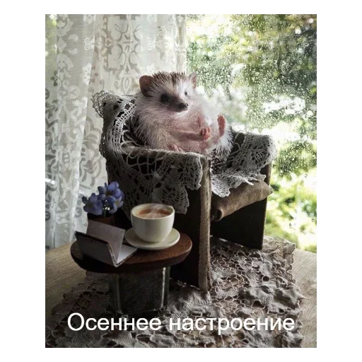 Эмодзи Ежики