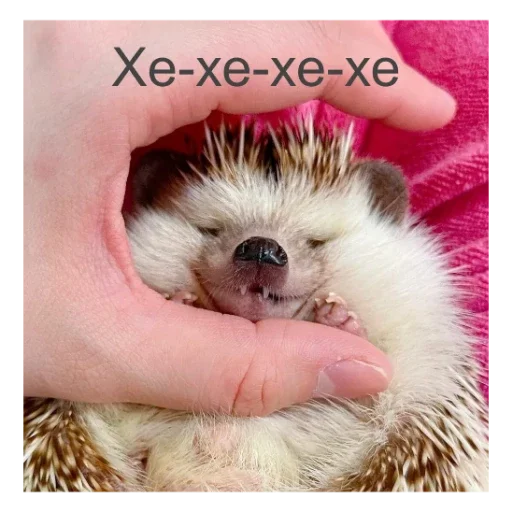 Эмодзи Ежики