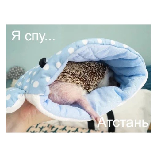 Эмодзи Ежики