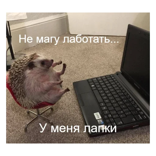 Эмодзи Ежики
