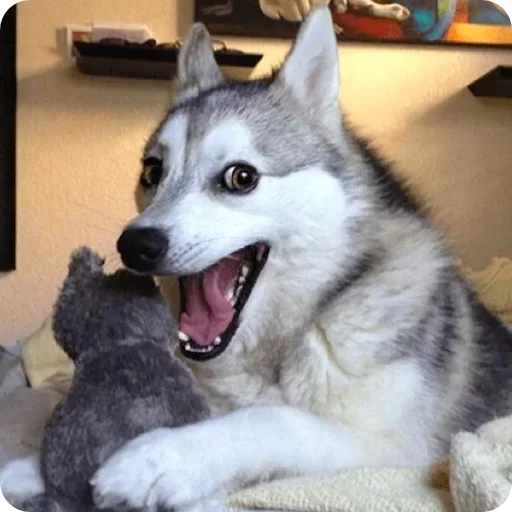 Эмодзи Random | Рандом