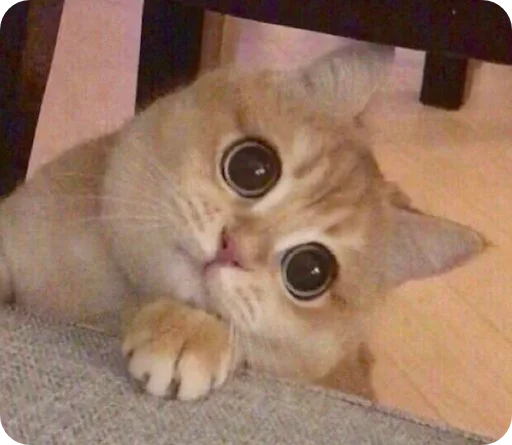 Эмодзи Random | Рандом