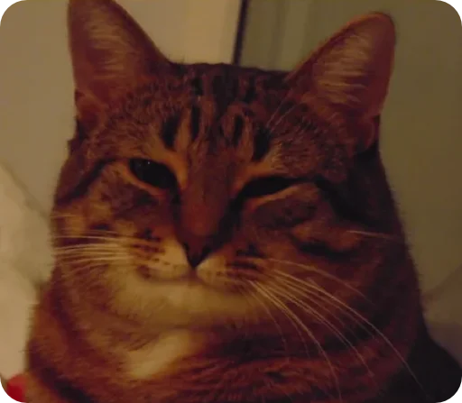 Эмодзи Random | Рандом