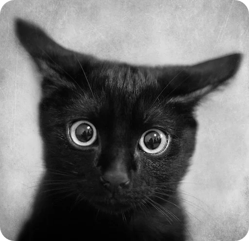 Эмодзи Random | Рандом