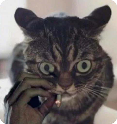 Эмодзи Random | Рандом