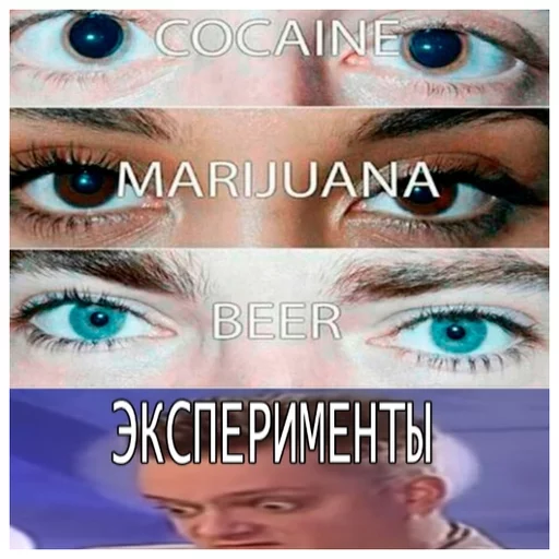 Эмодзи Пушной FACE EVERYDAY