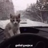 😱