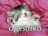 Эмодзи Разрывные котята