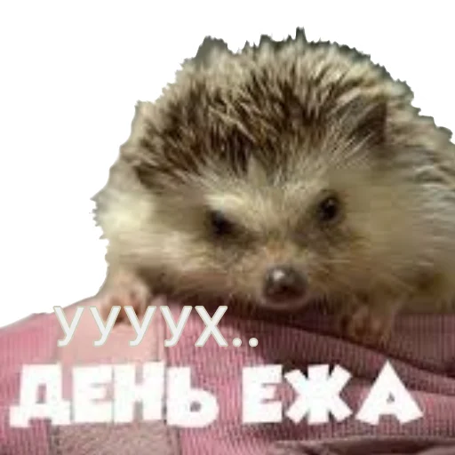 Эмодзи Ежжи