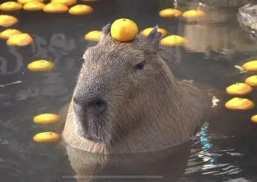 Эмодзи Capybara