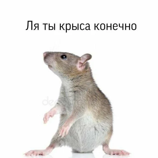 Эмодзи Memes