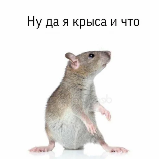 Эмодзи Memes