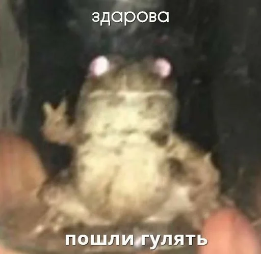 Эмодзи Memes