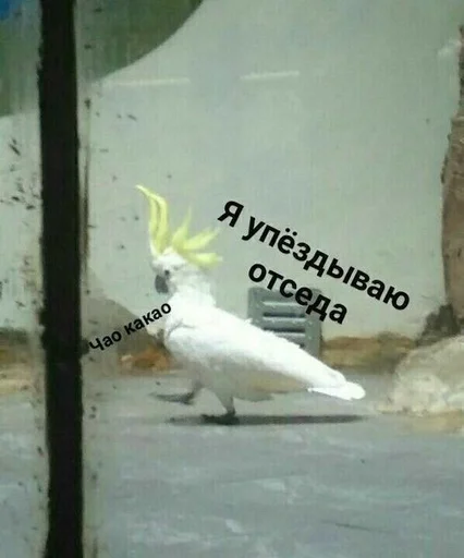 Эмодзи Memes