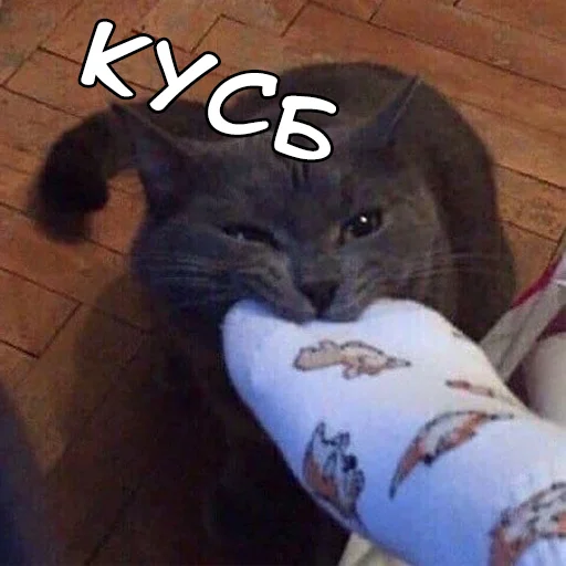 Эмодзи Файні звірятка №2